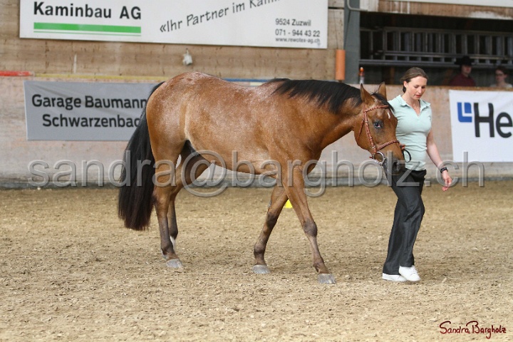 24-ApHC HIH_112.jpg